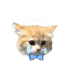 にゃんスタンプ。（個別スタンプ：33）