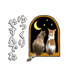 にゃんスタンプ。（個別スタンプ：37）