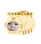 はにゃにゃの日常その2（個別スタンプ：2）