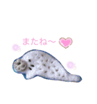 わたしの作品集♡スタンプにしました（個別スタンプ：7）
