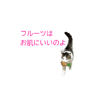 よしこアンジェリーナ（個別スタンプ：8）
