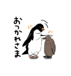 アデリーペンギンオンリーのスタンプ（個別スタンプ：11）