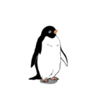 アデリーペンギンオンリーのスタンプ（個別スタンプ：14）