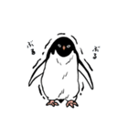 アデリーペンギンオンリーのスタンプ（個別スタンプ：22）