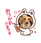 大好き孔明くん（個別スタンプ：16）