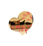 可愛すぎる♥癒しのお外猫（個別スタンプ：7）