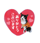 ♡メリーパークの仲間たち（個別スタンプ：1）