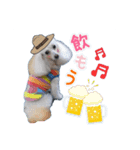 ♡メリーパークの仲間たち（個別スタンプ：6）