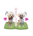 ♡メリーパークの仲間たち（個別スタンプ：8）