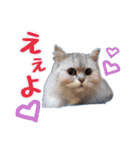♡メリーパークの仲間たち（個別スタンプ：9）