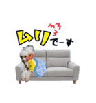 ♡メリーパークの仲間たち（個別スタンプ：11）