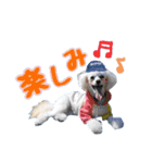 ♡メリーパークの仲間たち（個別スタンプ：12）