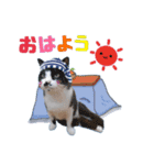 ♡メリーパークの仲間たち（個別スタンプ：15）