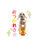 ♡メリーパークの仲間たち（個別スタンプ：16）