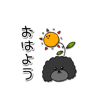 ドラくんの日常①〜黒トイプードル〜（個別スタンプ：1）