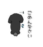 ドラくんの日常①〜黒トイプードル〜（個別スタンプ：5）