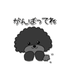 ドラくんの日常①〜黒トイプードル〜（個別スタンプ：10）