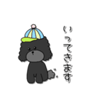 ドラくんの日常①〜黒トイプードル〜（個別スタンプ：12）