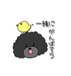 ドラくんの日常①〜黒トイプードル〜（個別スタンプ：14）