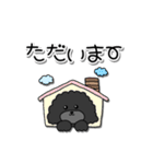 ドラくんの日常①〜黒トイプードル〜（個別スタンプ：15）
