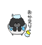 ドラくんの日常①〜黒トイプードル〜（個別スタンプ：16）