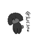 ドラくんの日常①〜黒トイプードル〜（個別スタンプ：19）