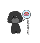 ドラくんの日常①〜黒トイプードル〜（個別スタンプ：21）