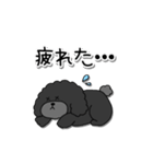 ドラくんの日常①〜黒トイプードル〜（個別スタンプ：26）