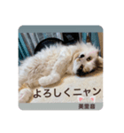 美里音スタンプ2（個別スタンプ：1）
