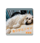 美里音スタンプ2（個別スタンプ：2）