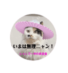 美里音スタンプ2（個別スタンプ：6）
