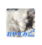 美里音スタンプ2（個別スタンプ：8）