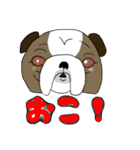 可愛い？動物のスタンプらしいよ？（個別スタンプ：10）