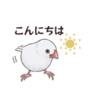 文鳥三昧〜白文鳥〜（個別スタンプ：2）