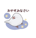 文鳥三昧〜白文鳥〜（個別スタンプ：4）