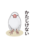 文鳥三昧〜白文鳥〜（個別スタンプ：7）