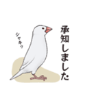 文鳥三昧〜白文鳥〜（個別スタンプ：14）