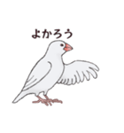 文鳥三昧〜白文鳥〜（個別スタンプ：23）