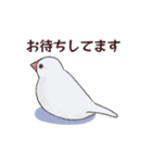 文鳥三昧〜白文鳥〜（個別スタンプ：31）