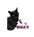 ぼくたちわたしたち その1（個別スタンプ：1）