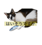 ぼくたちわたしたち その1（個別スタンプ：3）