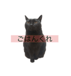 ぼくたちわたしたち その1（個別スタンプ：4）