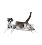 ぼくたちわたしたち その1（個別スタンプ：5）