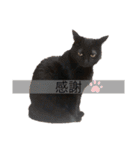 ぼくたちわたしたち その1（個別スタンプ：7）