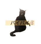 ぼくたちわたしたち その1（個別スタンプ：8）