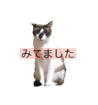 ぼくたちわたしたち その1（個別スタンプ：10）