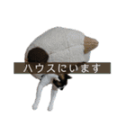 ぼくたちわたしたち その1（個別スタンプ：14）