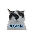 ぼくたちわたしたち その1（個別スタンプ：17）