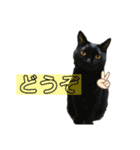ぼくたちわたしたち その1（個別スタンプ：18）