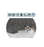 ぼくたちわたしたち その1（個別スタンプ：19）